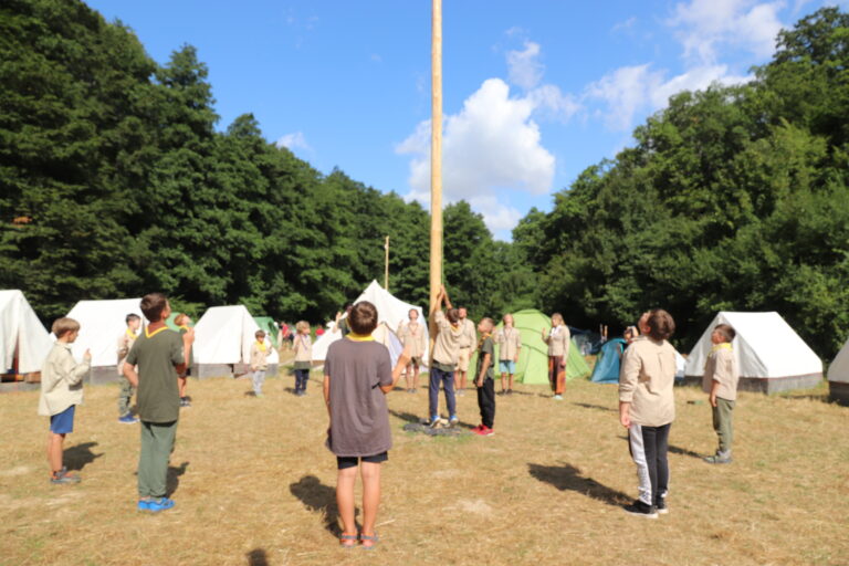 Symbolika oddielu vĺčat