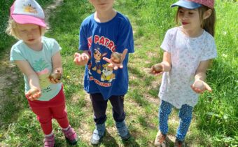 Čistenie studničky