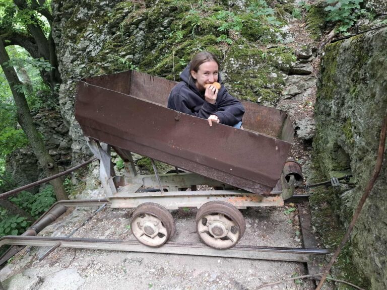 Pagáčik –  Medvedia skautka