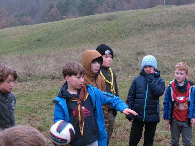 Družiny vĺčat 2025/2026